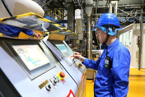 小萌寵激活億元新賽道 山東寵物產(chǎn)業(yè)發(fā)展一線(xiàn)見(jiàn)聞